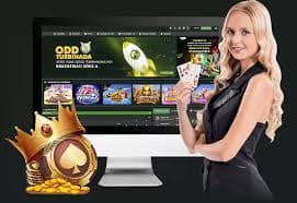 tar509 taruhan olahraga live odds real-time sepak bola badminton